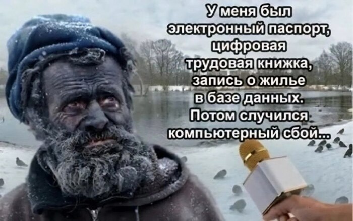      ,   , , Telegram ()