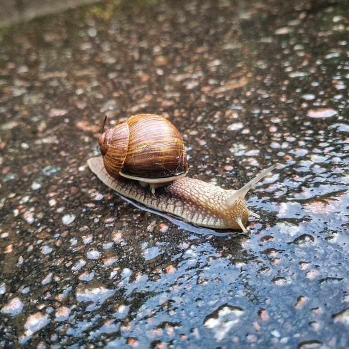   , ,  , , 