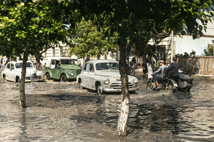 Фотограф: Митин В.В.