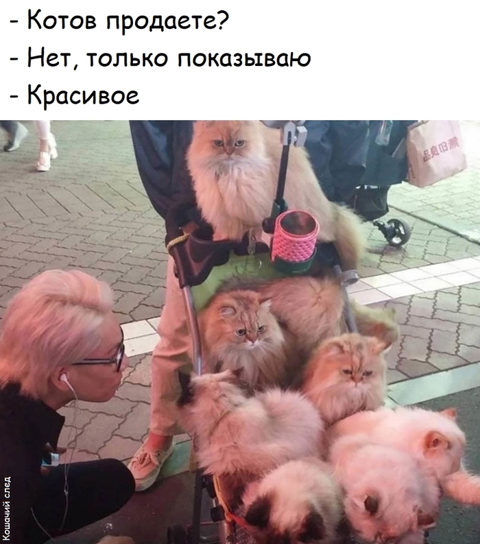   , ,  (), ,   