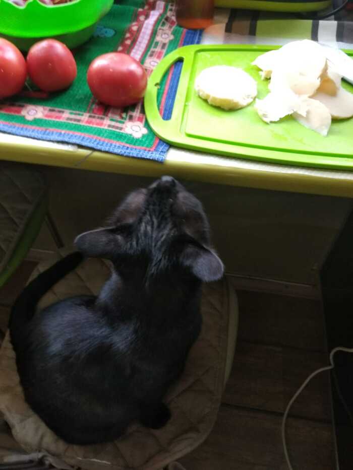     ? ,   , -,  
