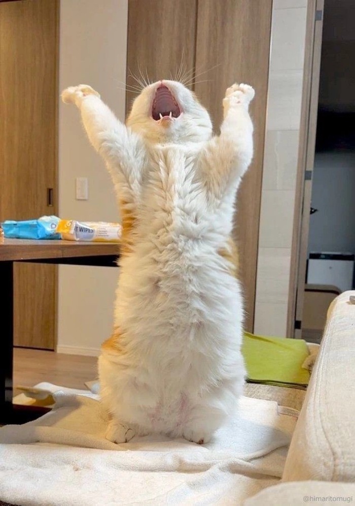 !! , , , , , RUTUBE