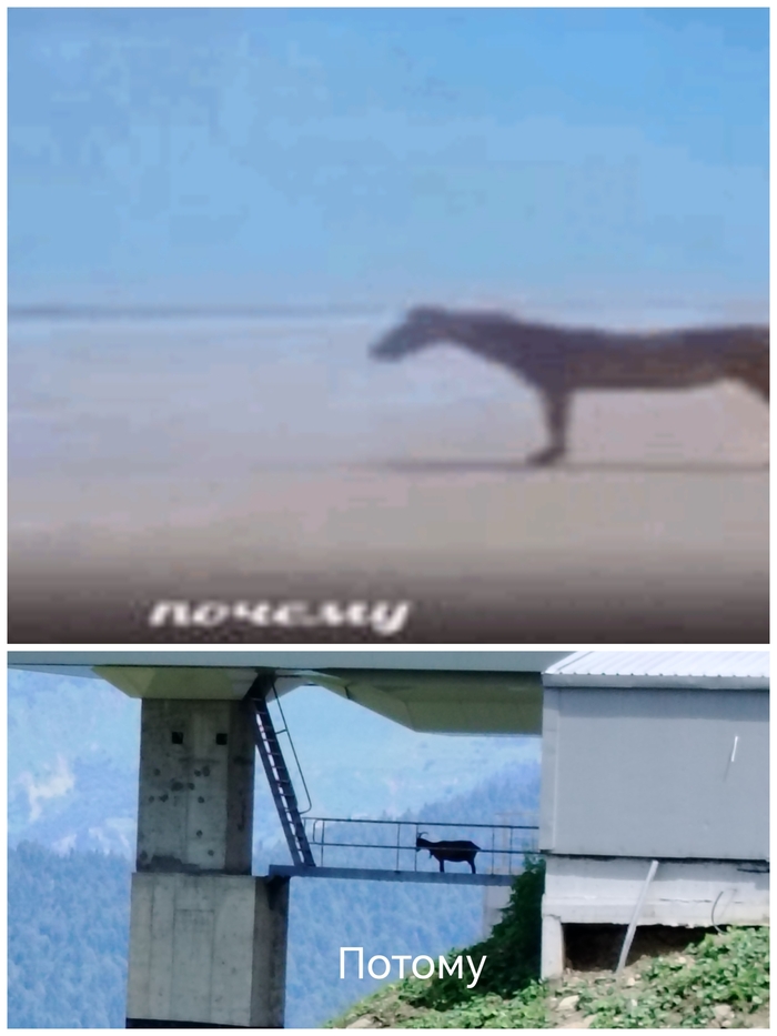   2  , ,  , , 