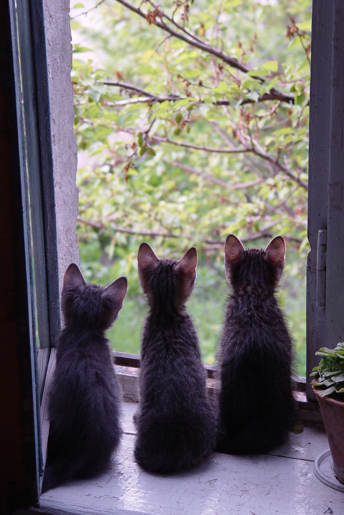 Что -то интересное там?