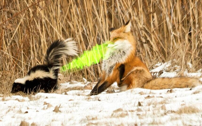 Примерно так! Только жидкость прозрачная)