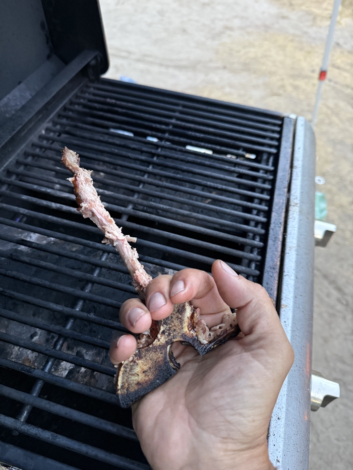   T-bone! , ,  ,   ,  ,  , 