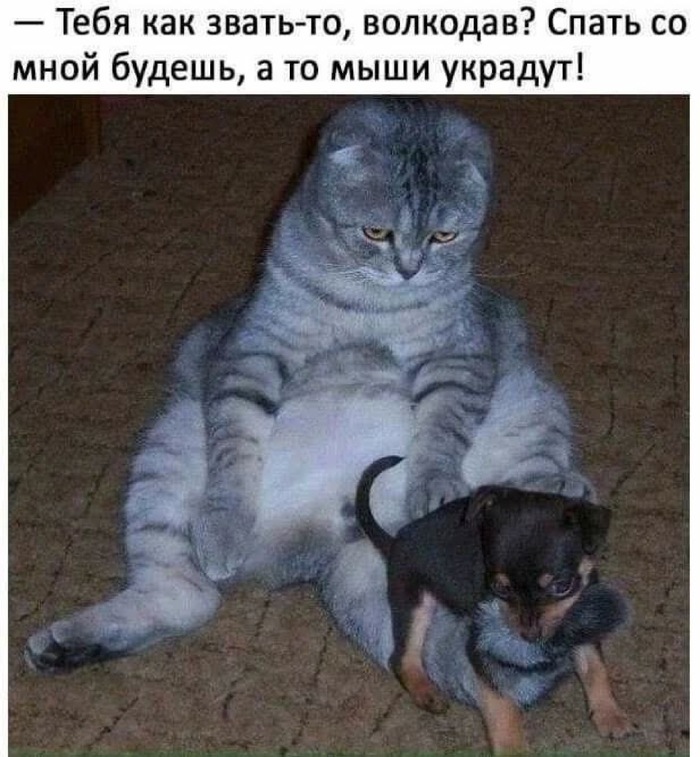     , ,   , , ,  ,  , , RUTUBE