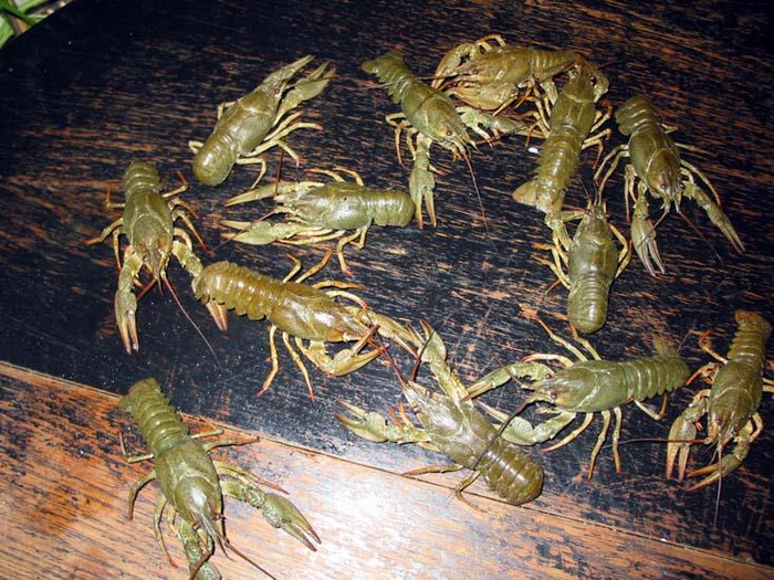 Мужики, кажется это не пляж!