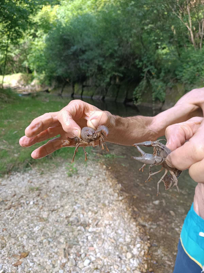 Когда два ребёнка смертельно обиделись друг на друга, и ты вынужден их разнимать.