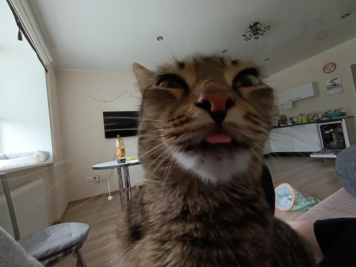       (    ),     