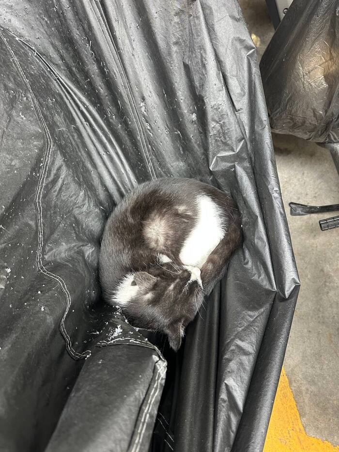                )))   , ,  , , , , 