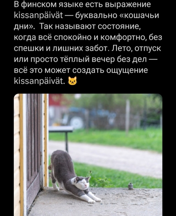    ,   , ,  , Telegram ()