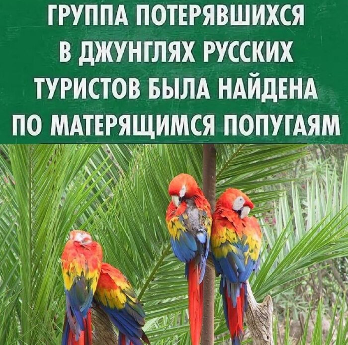   , ,   ,  , 