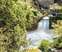 ������� ������