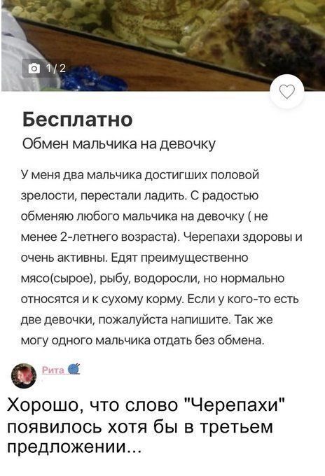  ,  , , , , 