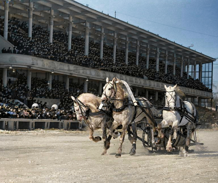 Фотограф: Дмитрий Козлов