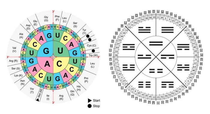Православие, Дао и Буддизм. И-Цзин и генетический код Бог, Человек, Религия, Цивилизация, Генетика, Православие, Буддизм, Дао, Даосизм, Христианство, Вера, Церковь, Наука, Длиннопост