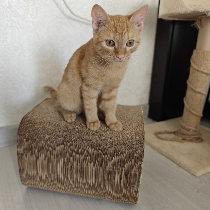 Иногда грустная