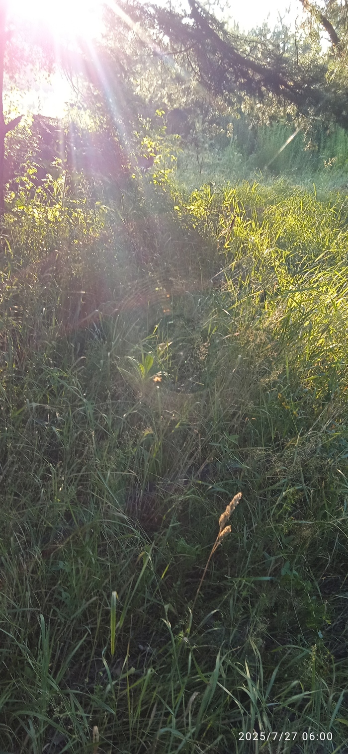   , , 