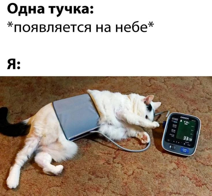     , , , , ,  ,  , , , , , , , 