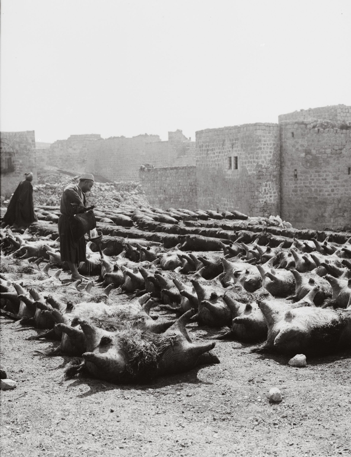 Кожевенный завод, 1900-1920 гг.