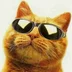 user8597021