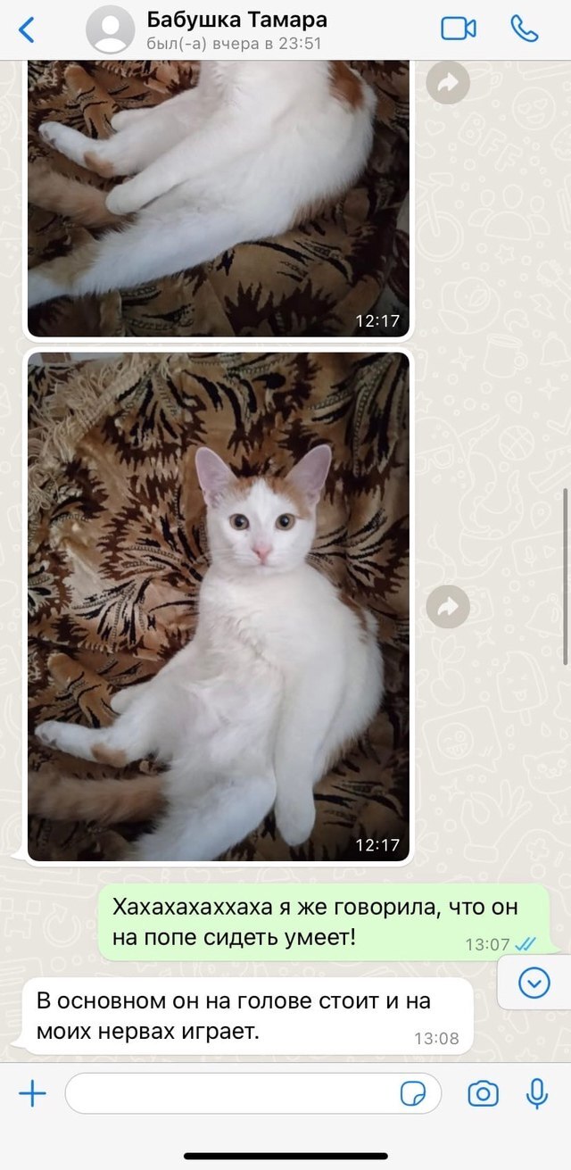   , , ,     ,   , , , , 