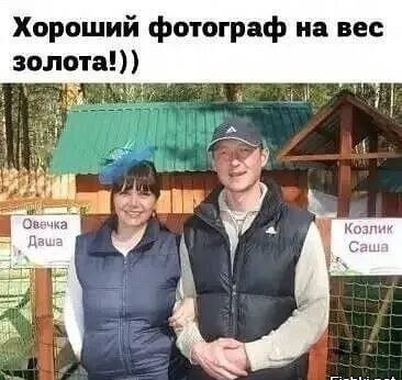    ... , ,   , Telegram ()