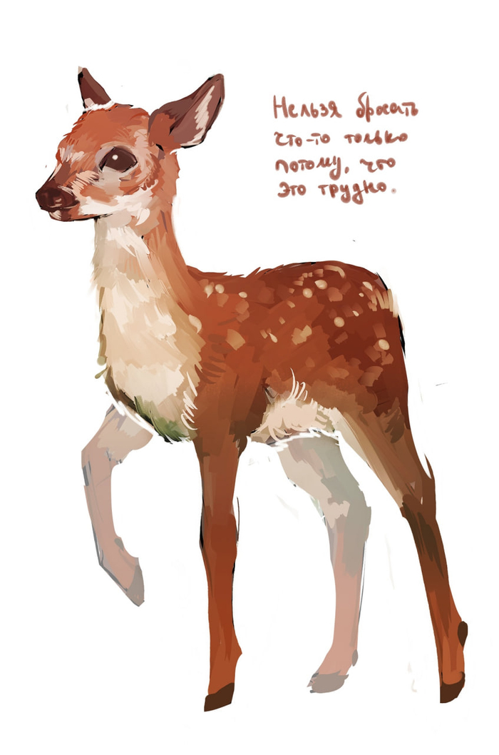   - Easy Paint Tool SAI, Photoshop, 