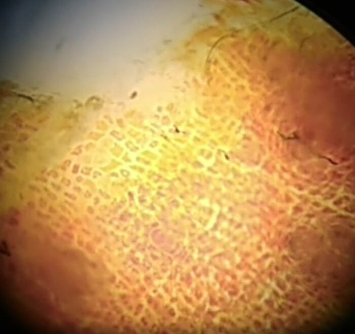 Специи в масле 100х