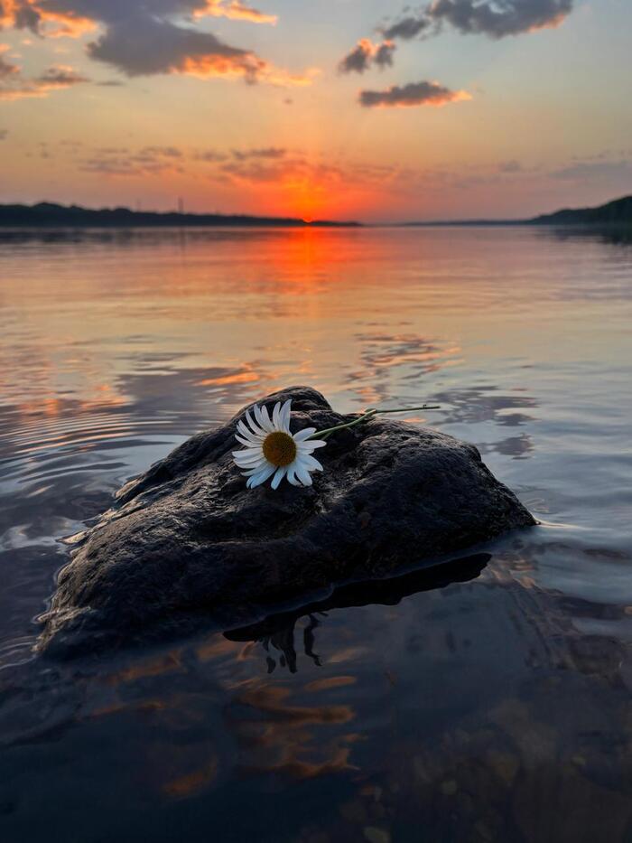    .  " -   " ,  , , , ,  