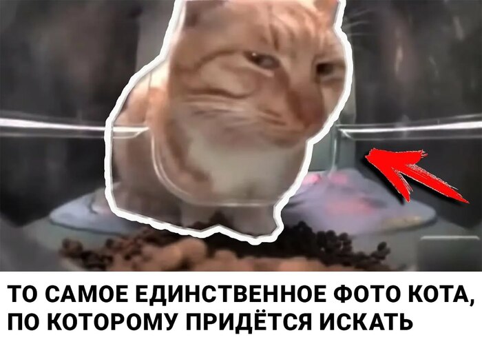     "" ! , ,   , , , , ,  , ,  ,  , , , , , , ,   , 