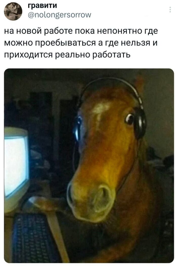      , ,  , , , 