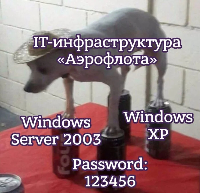    IT- "" ,  , , IT, , Telegram (), , ,   , ,   , 