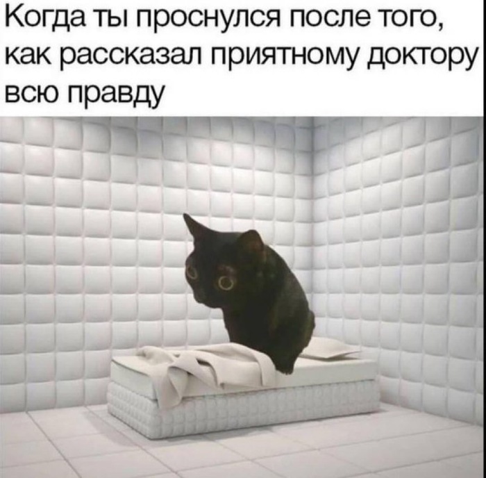   , ,   , , ,  ,  , , RUTUBE