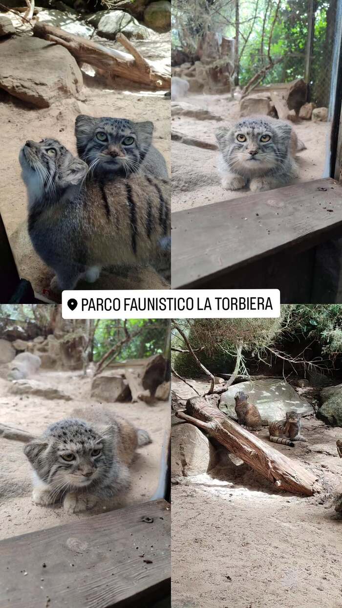      ,  ,  ,  ,  , , , 
