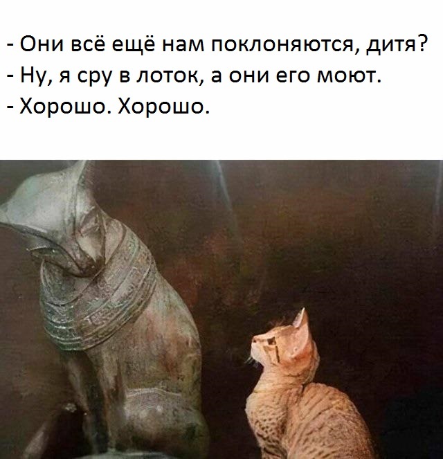   , ? ,   , , , , 