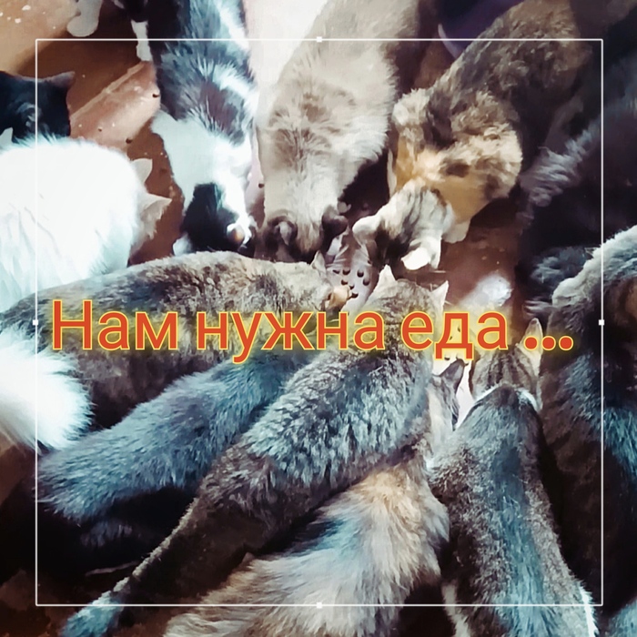     ,   ! , ,  , , 