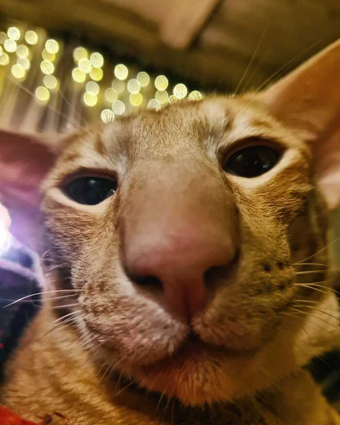 �� � ���� �� � ����� ��� ������ ��� ����������� ����)