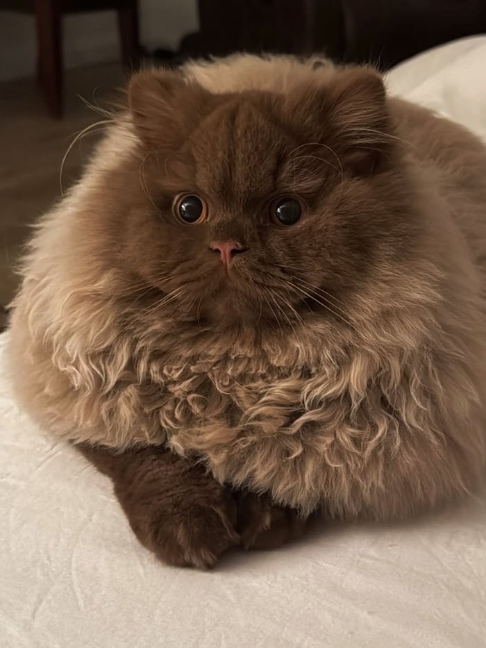    ,    ADME, , , 