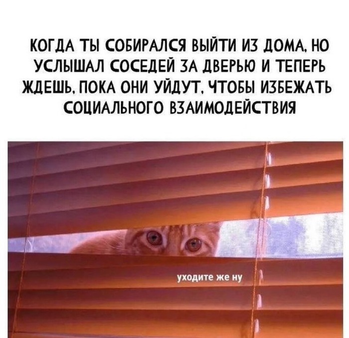     , ,   , , , , RUTUBE