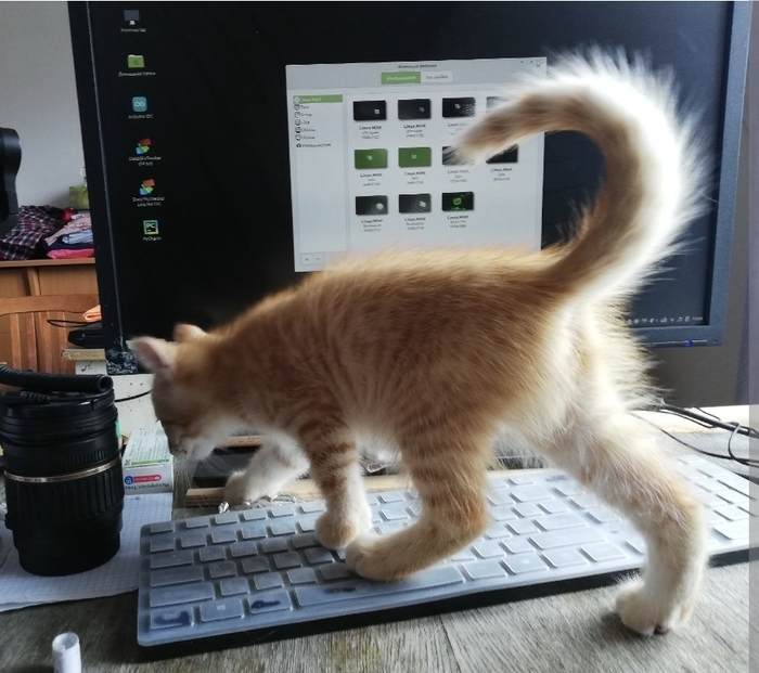 ������ ����� ���������� ��������