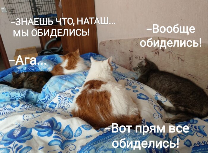   ?