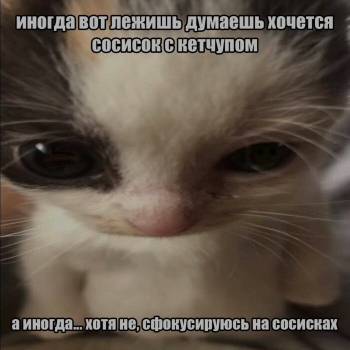  , ,   , , , 