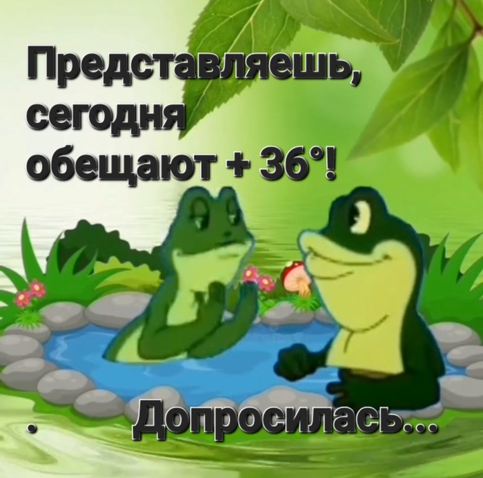 !   ,  ! It Is Wednesday My Dudes, , ,  