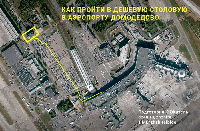 Как пройти в дешевую столовую в аэропорту Домодедово