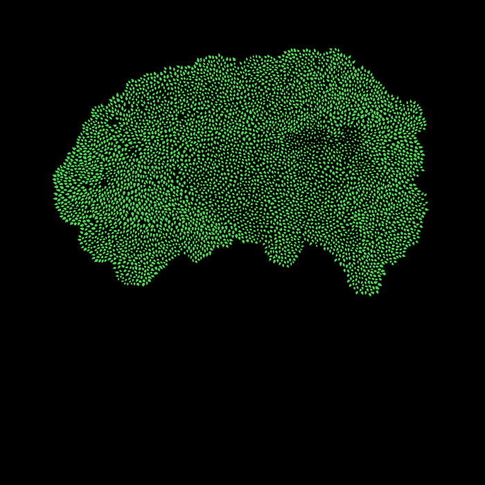    5000  ViKriGri, ,  , Python, ,   , ,  