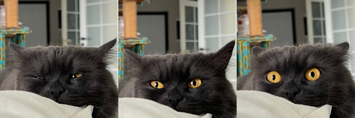 Раскадровка