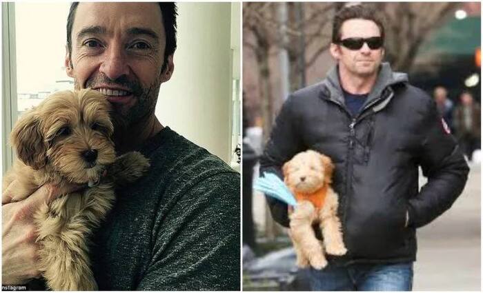 Хью Джекман.