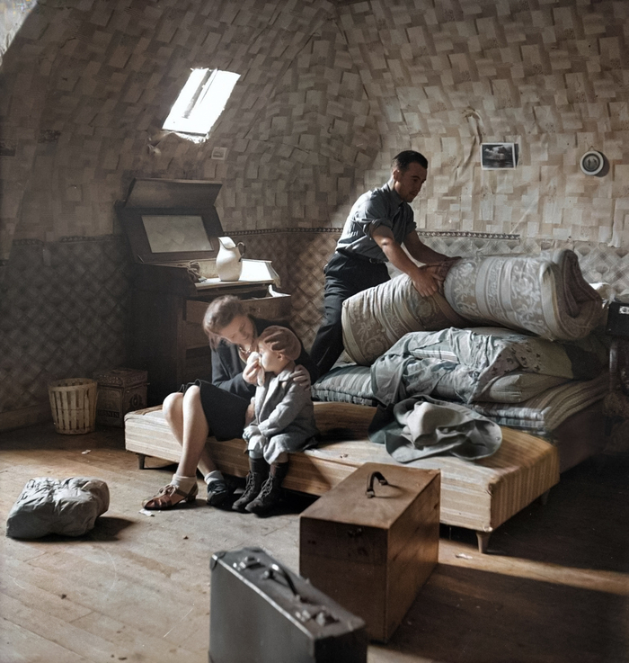 ��������: ������ �����